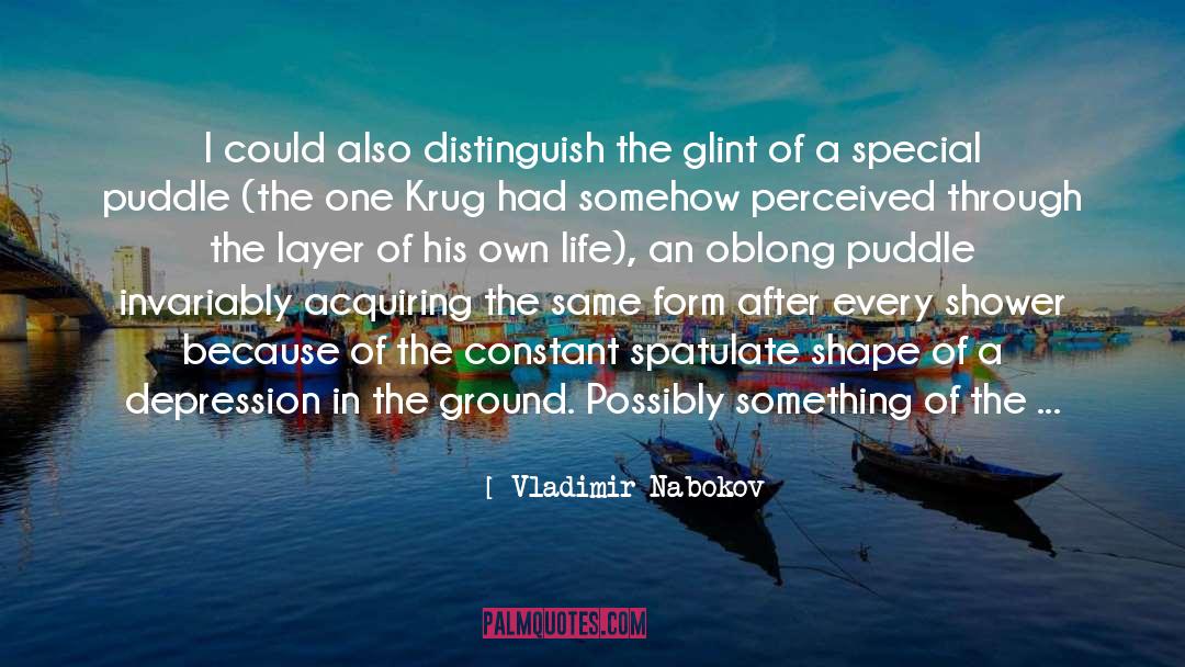 Vladimir Nabokov Quotes: I could also distinguish the