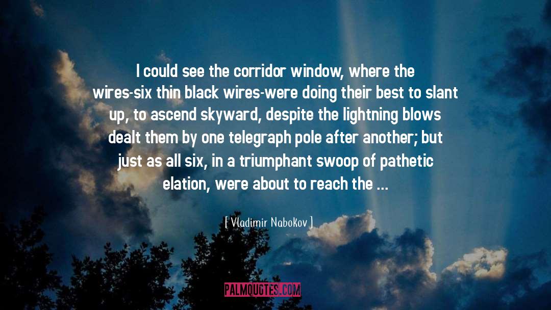Vladimir Nabokov Quotes: I could see the corridor