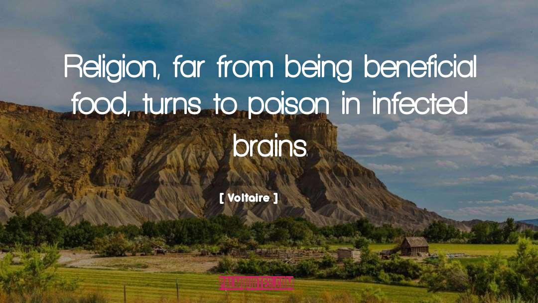 Voltaire Quotes: Religion, far from being beneficial