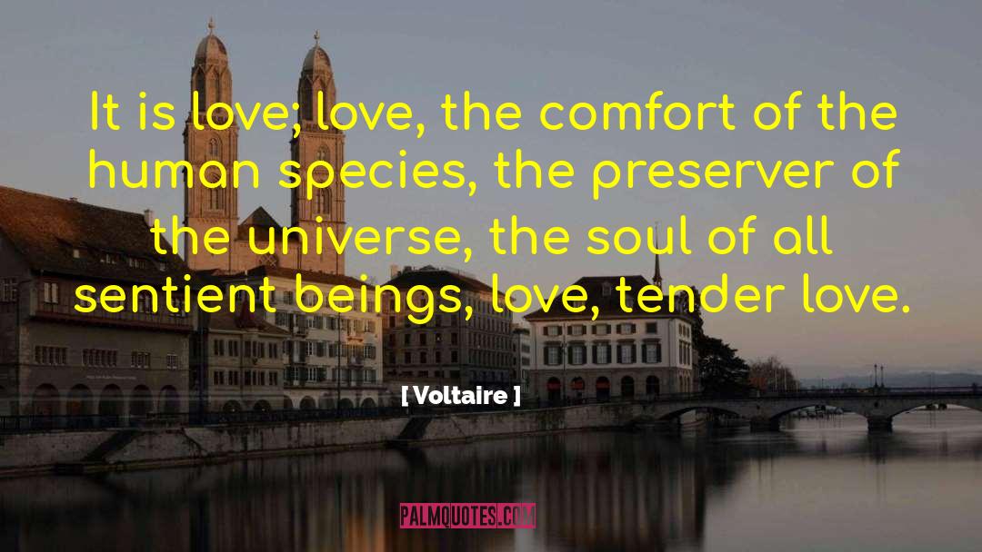 Voltaire Quotes: It is love; love, the