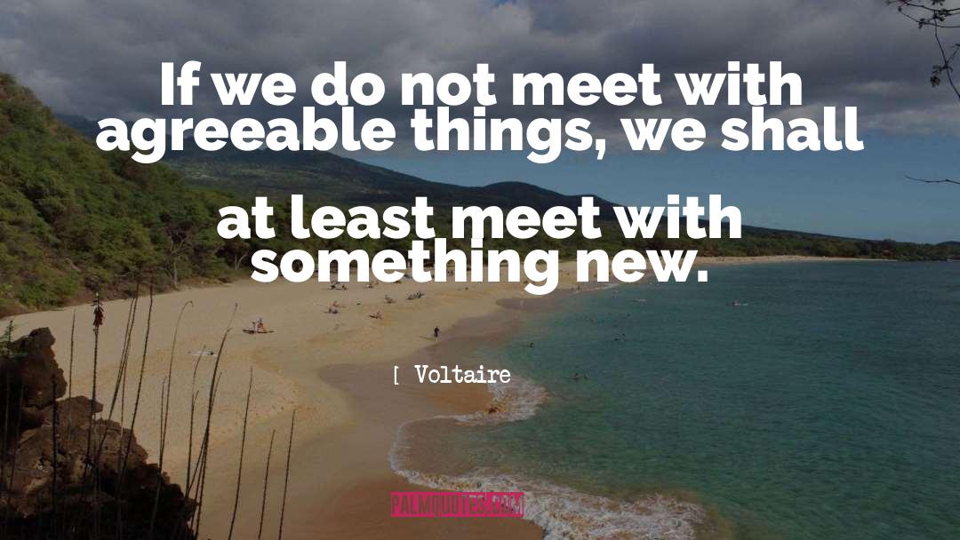 Voltaire Quotes: If we do not meet
