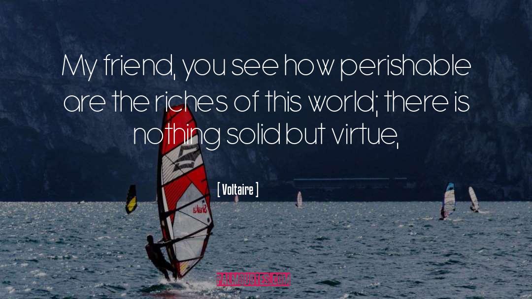 Voltaire Quotes: My friend, you see how