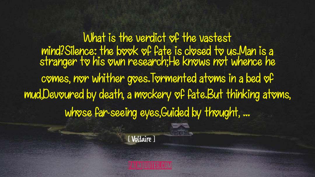 Voltaire Quotes: What is the verdict of