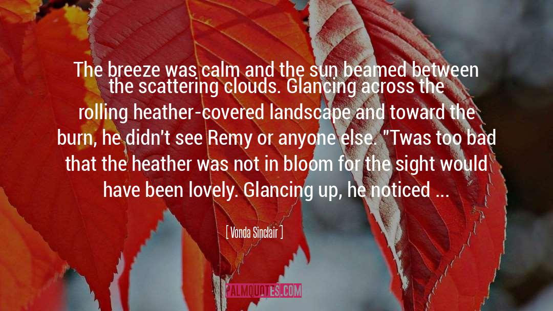 Vonda Sinclair Quotes: The breeze was calm and