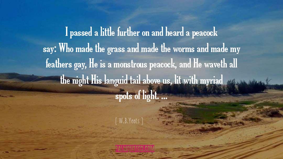 W.B.Yeats Quotes: I passed a little further