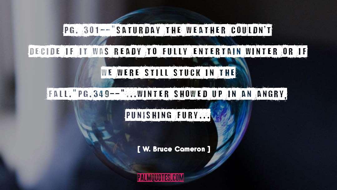 W. Bruce Cameron Quotes: pg. 301--