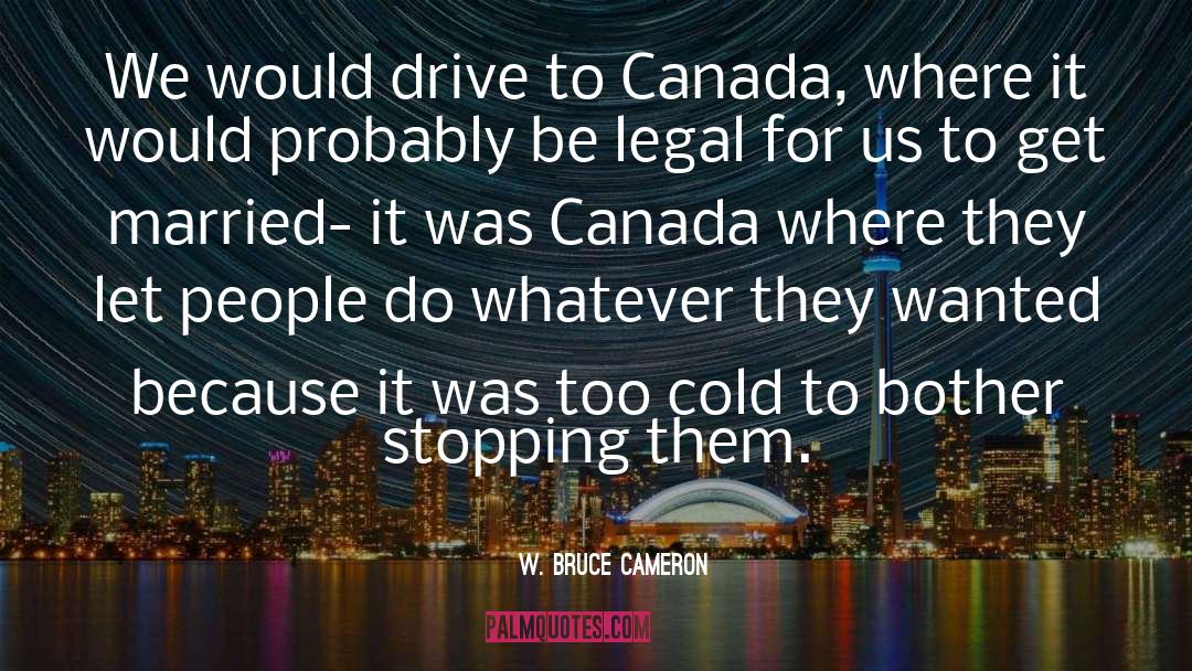 W. Bruce Cameron Quotes: We would drive to Canada,