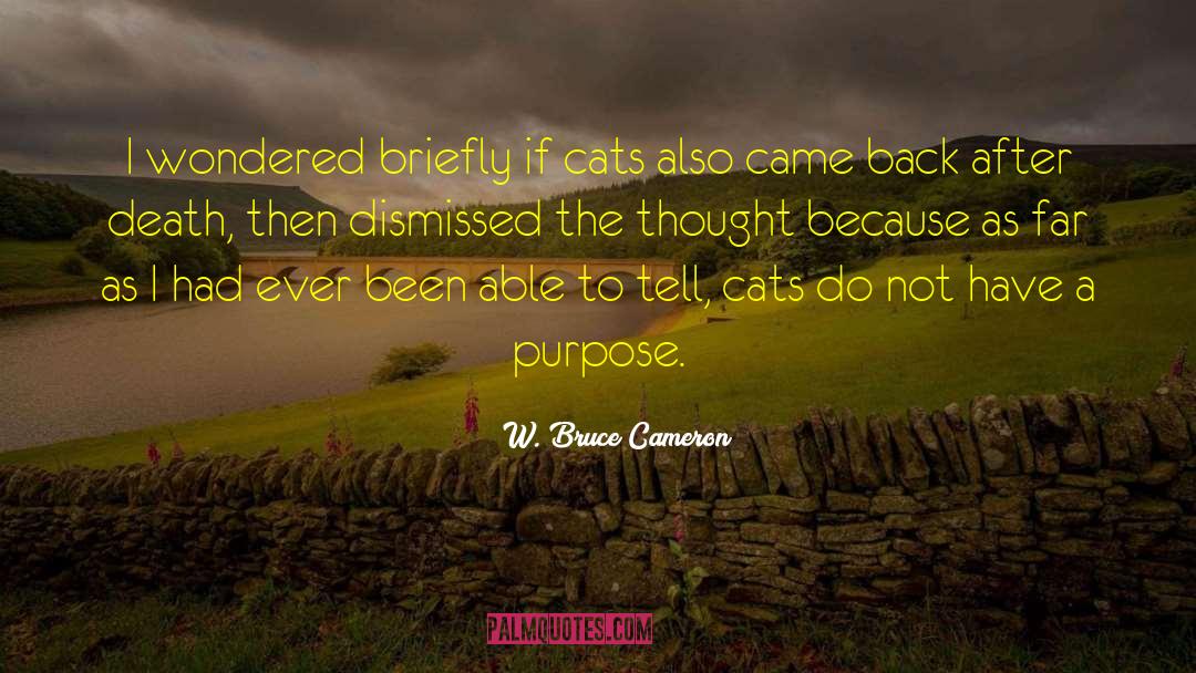 W. Bruce Cameron Quotes: I wondered briefly if cats