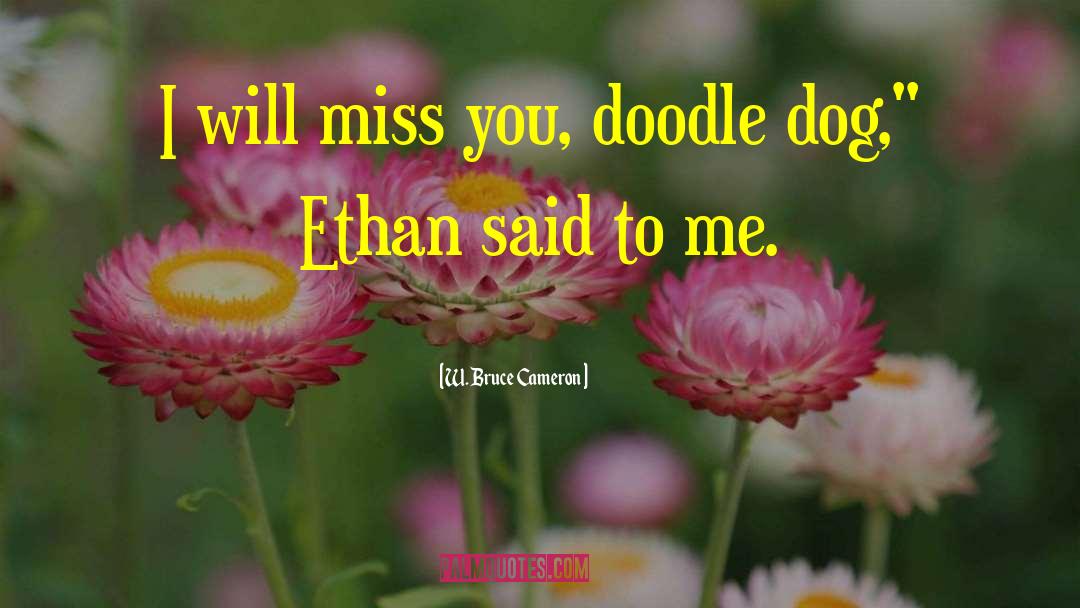 W. Bruce Cameron Quotes: I will miss you, doodle