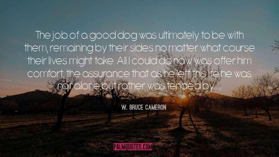 W. Bruce Cameron Quotes: The job of a good