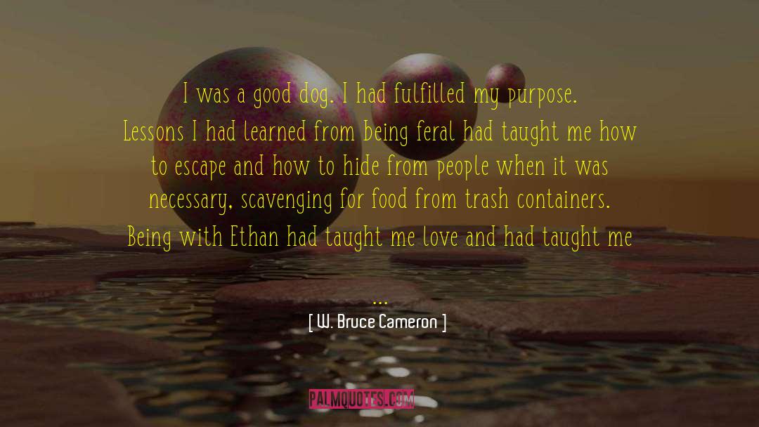 W. Bruce Cameron Quotes: I was a good dog.