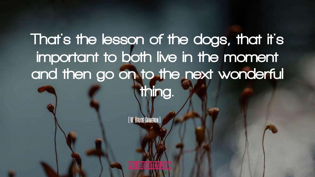 W. Bruce Cameron Quotes: That's the lesson of the