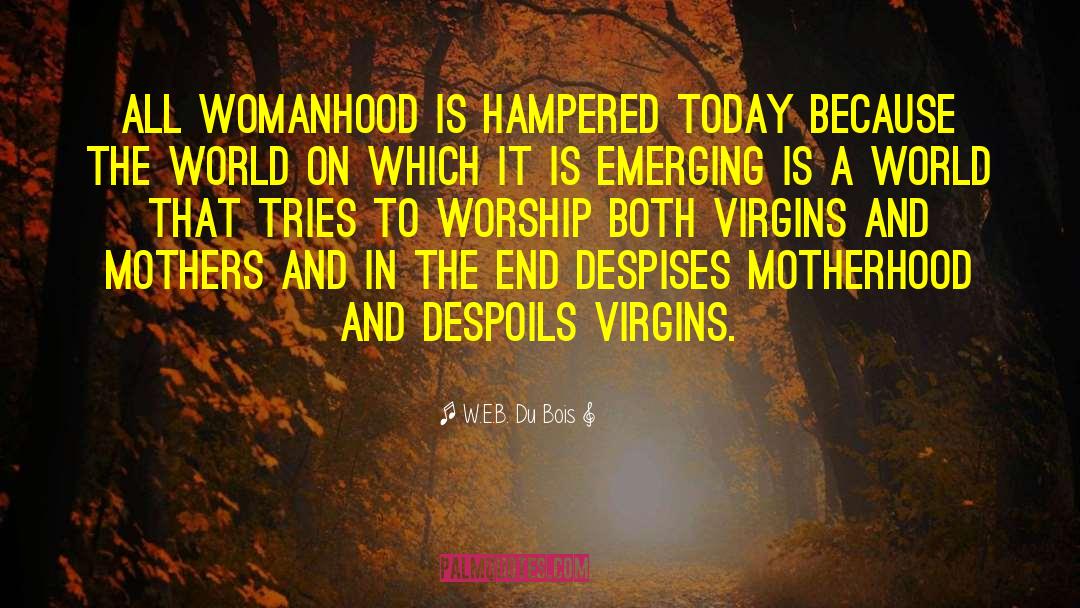 W.E.B. Du Bois Quotes: All womanhood is hampered today