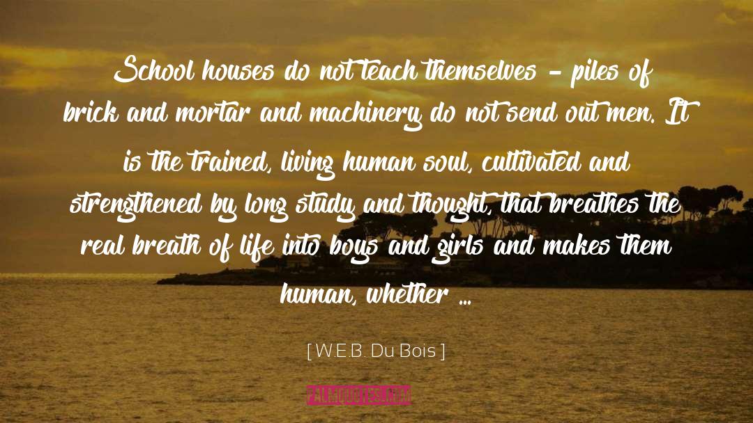 W.E.B. Du Bois Quotes: School houses do not teach