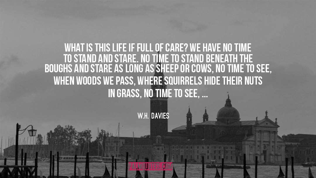 W.H. Davies Quotes: What is this life if