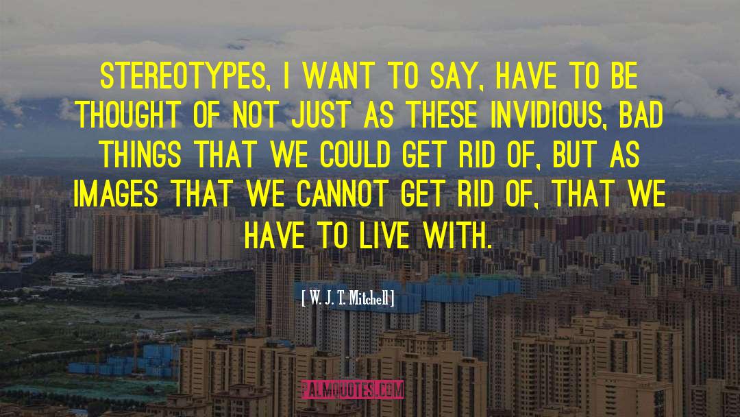 W. J. T. Mitchell Quotes: Stereotypes, I want to say,