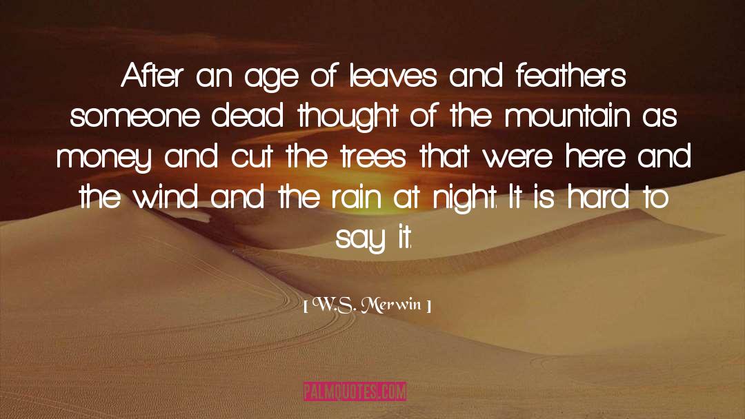 W.S. Merwin Quotes: After an age of leaves