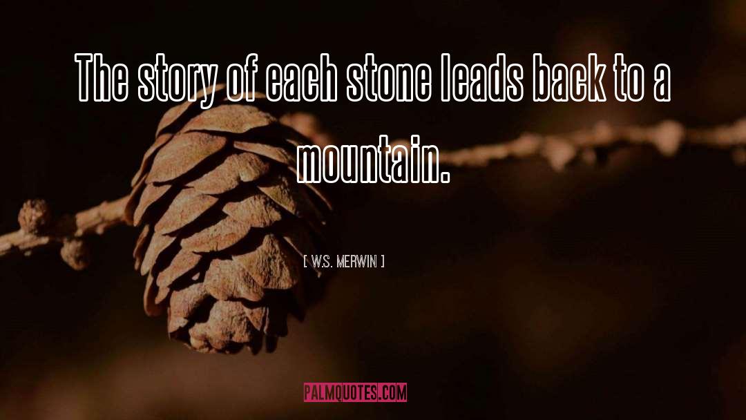 W.S. Merwin Quotes: The story of each stone