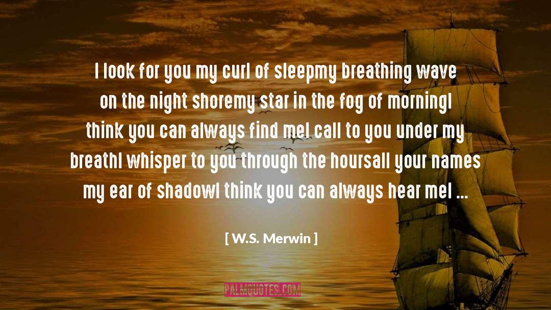 W.S. Merwin Quotes: I look for you my
