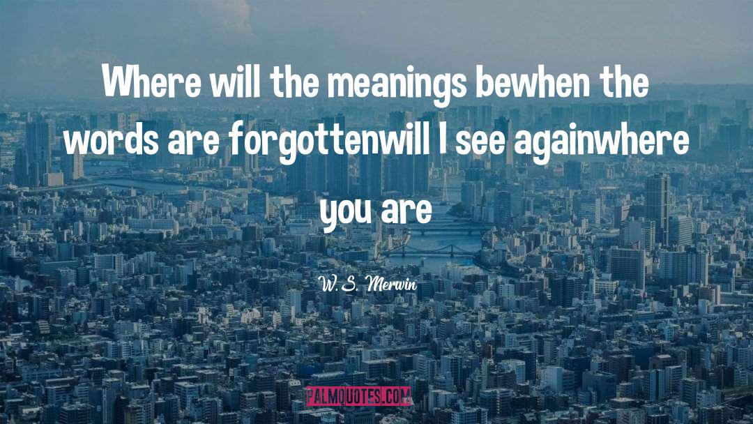 W.S. Merwin Quotes: Where will the meanings be<br>when