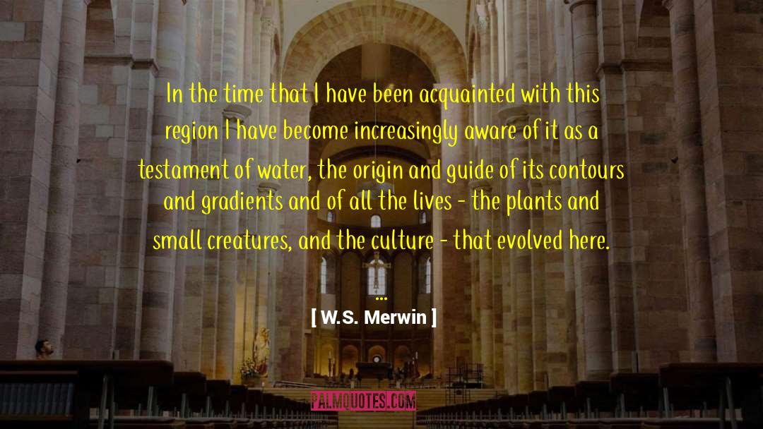 W.S. Merwin Quotes: In the time that I