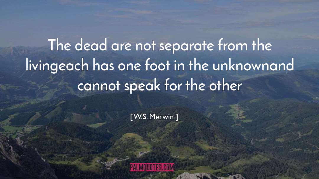 W.S. Merwin Quotes: The dead are not separate
