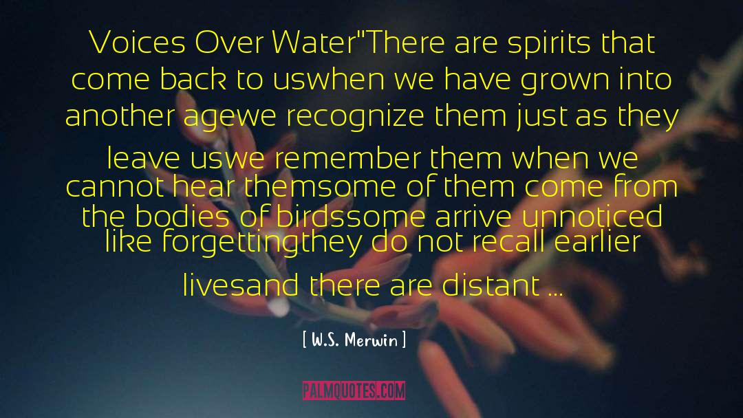 W.S. Merwin Quotes: Voices Over Water