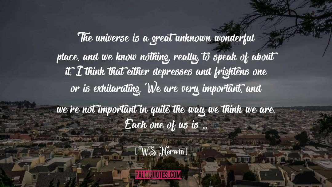 W.S. Merwin Quotes: The universe is a great