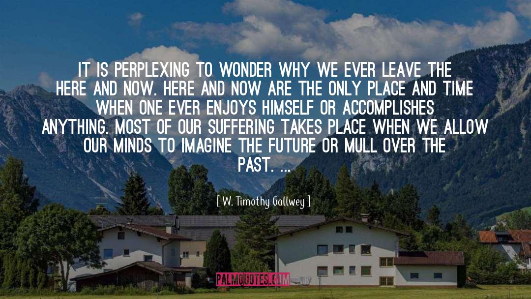 W. Timothy Gallwey Quotes: It is perplexing to wonder