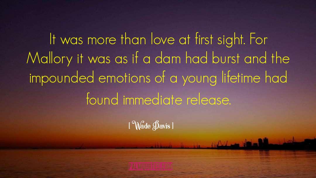 Wade Davis Quotes: It was more than love