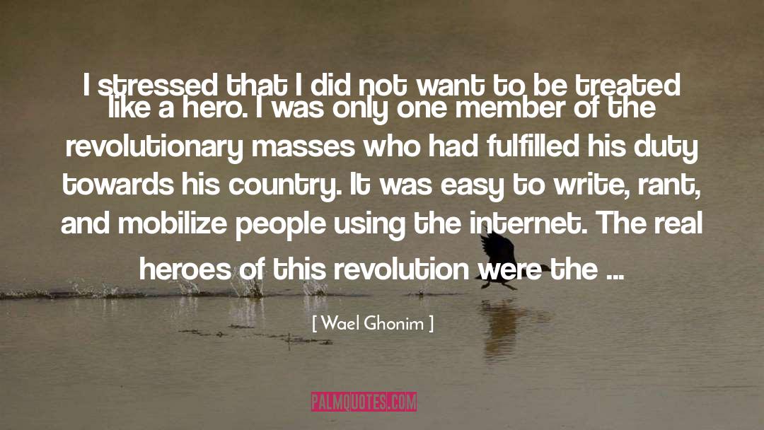 Wael Ghonim Quotes: I stressed that I did