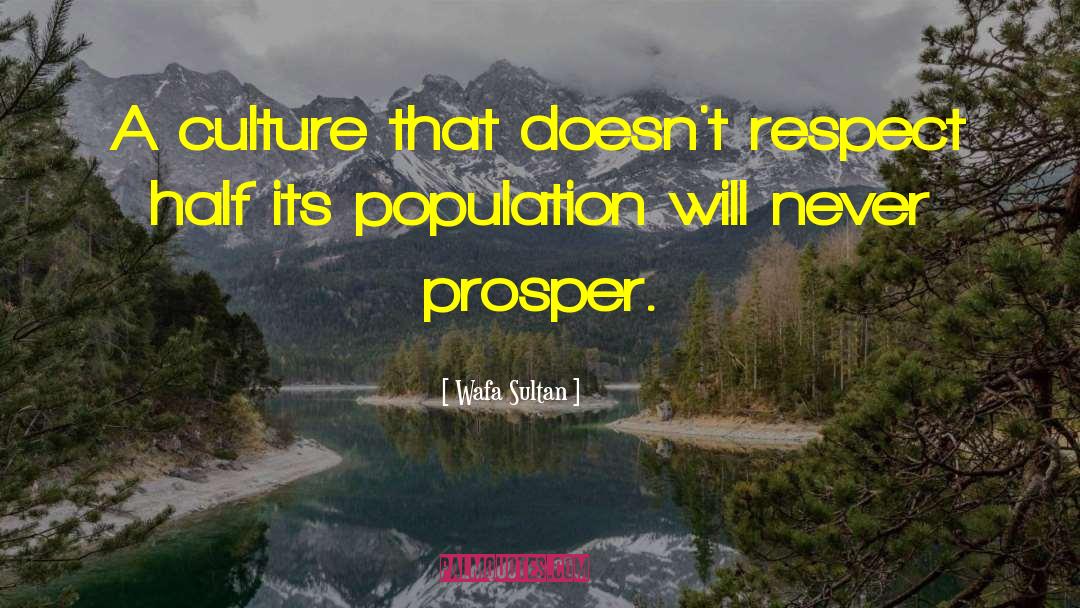 Wafa Sultan Quotes: A culture that doesn't respect