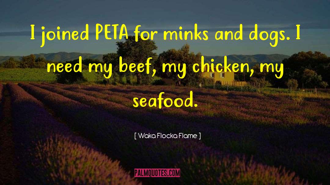 Waka Flocka Flame Quotes: I joined PETA for minks