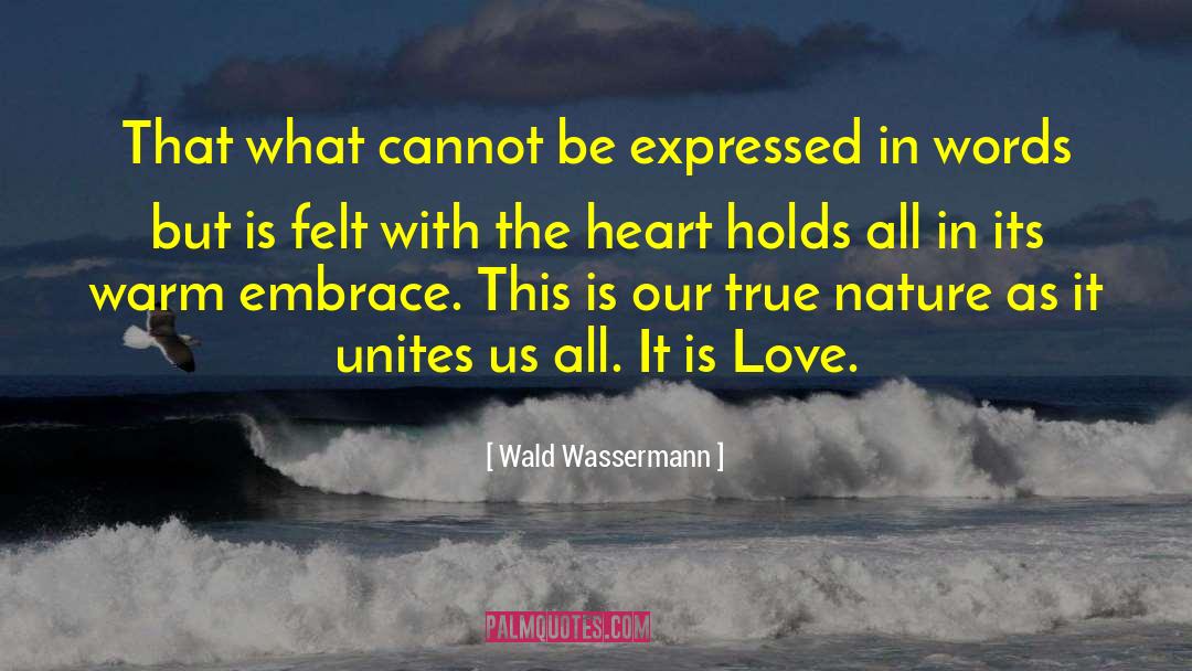 Wald Wassermann Quotes: That what cannot be expressed