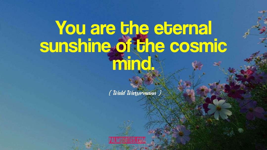 Wald Wassermann Quotes: You are the eternal sunshine
