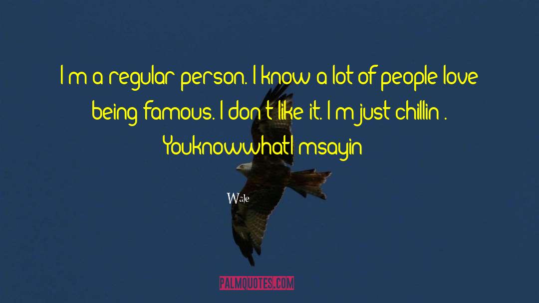 Wale Quotes: I'm a regular person. I