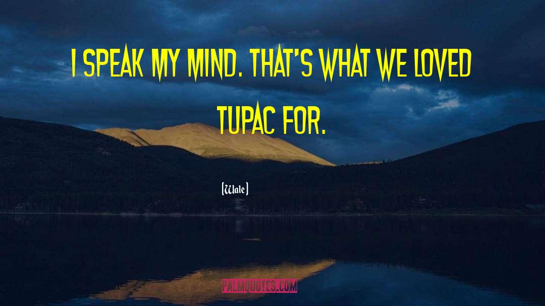 Wale Quotes: I speak my mind. That's