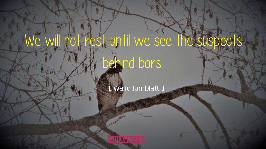 Walid Jumblatt Quotes: We will not rest until