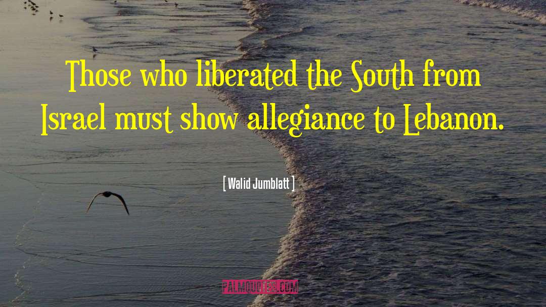 Walid Jumblatt Quotes: Those who liberated the South