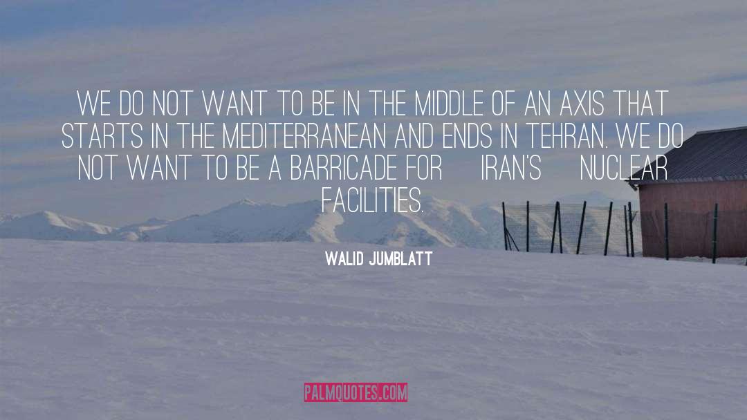 Walid Jumblatt Quotes: We do not want to