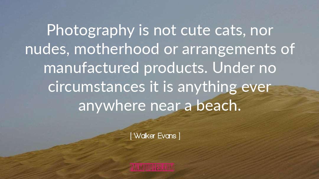 Walker Evans Quotes: Photography is not cute cats,