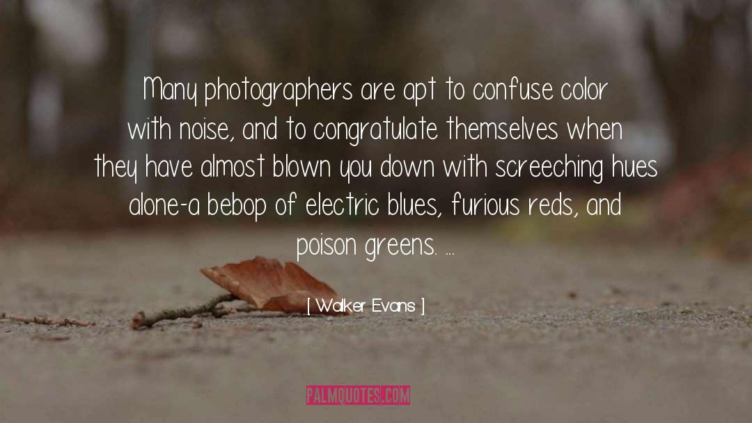 Walker Evans Quotes: Many photographers are apt to