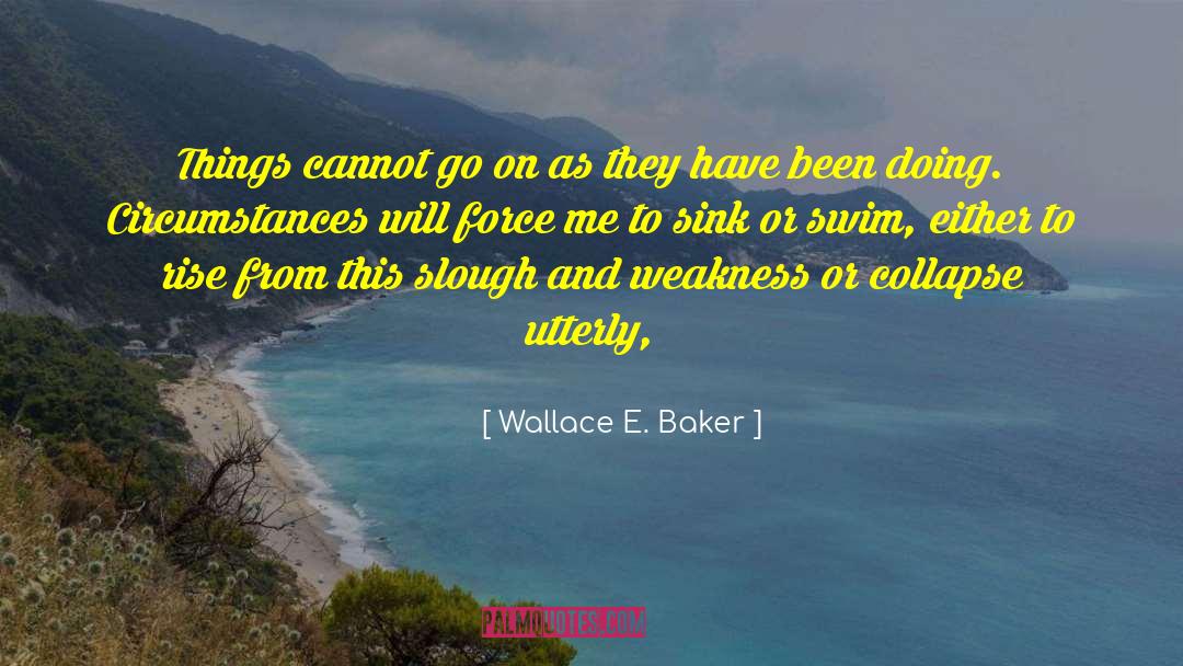 Wallace E. Baker Quotes: Things cannot go on as