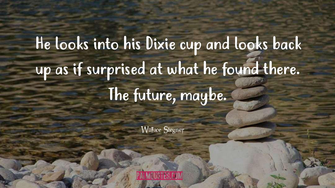 Wallace Stegner Quotes: He looks into his Dixie