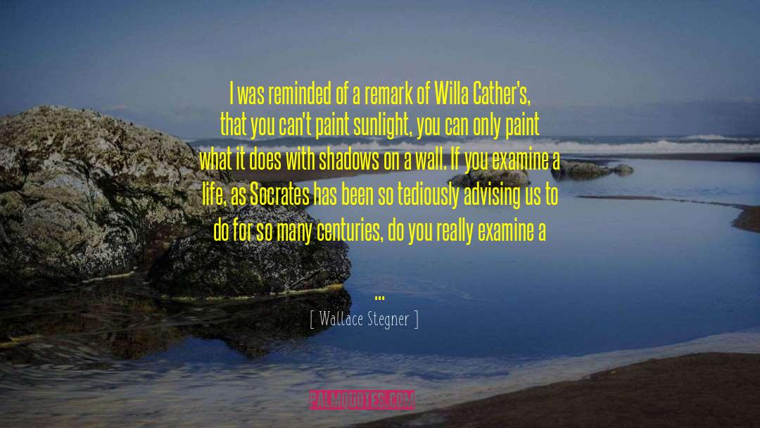 Wallace Stegner Quotes: I was reminded of a
