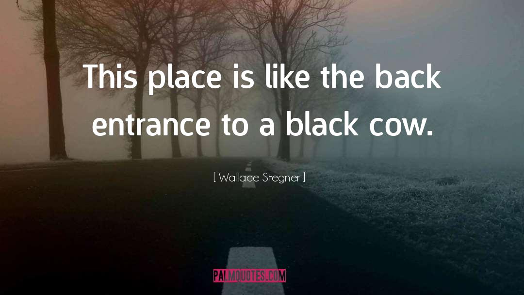 Wallace Stegner Quotes: This place is like the