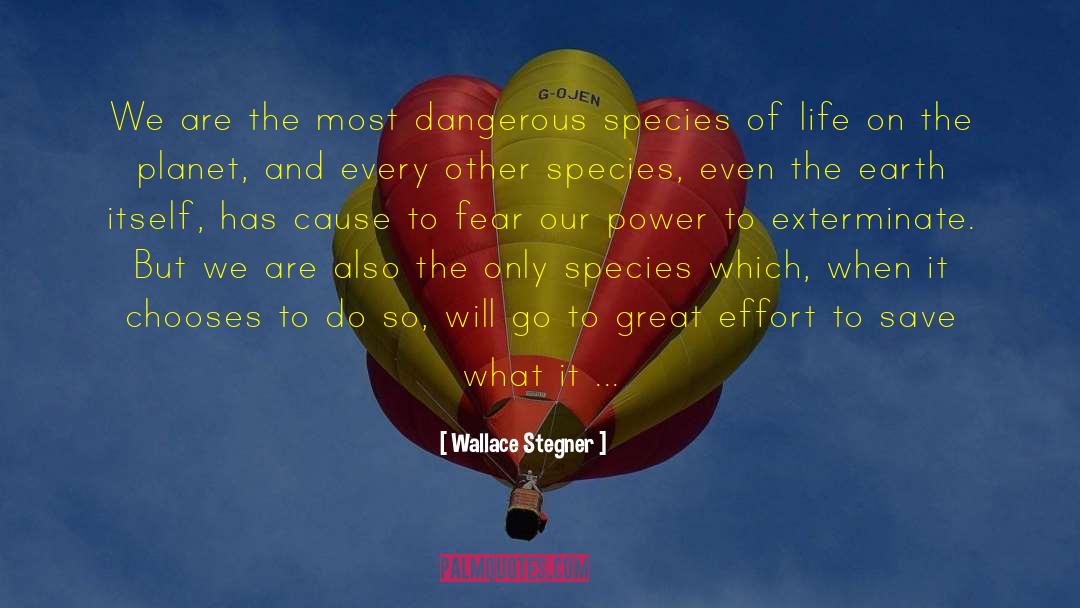 Wallace Stegner Quotes: We are the most dangerous