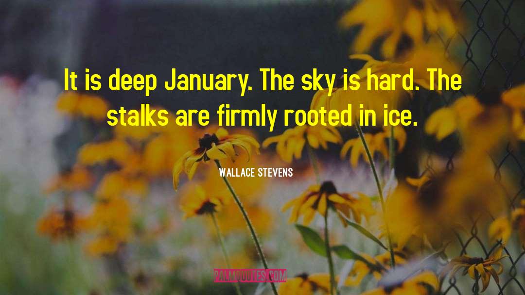 Wallace Stevens Quotes: It is deep January. The