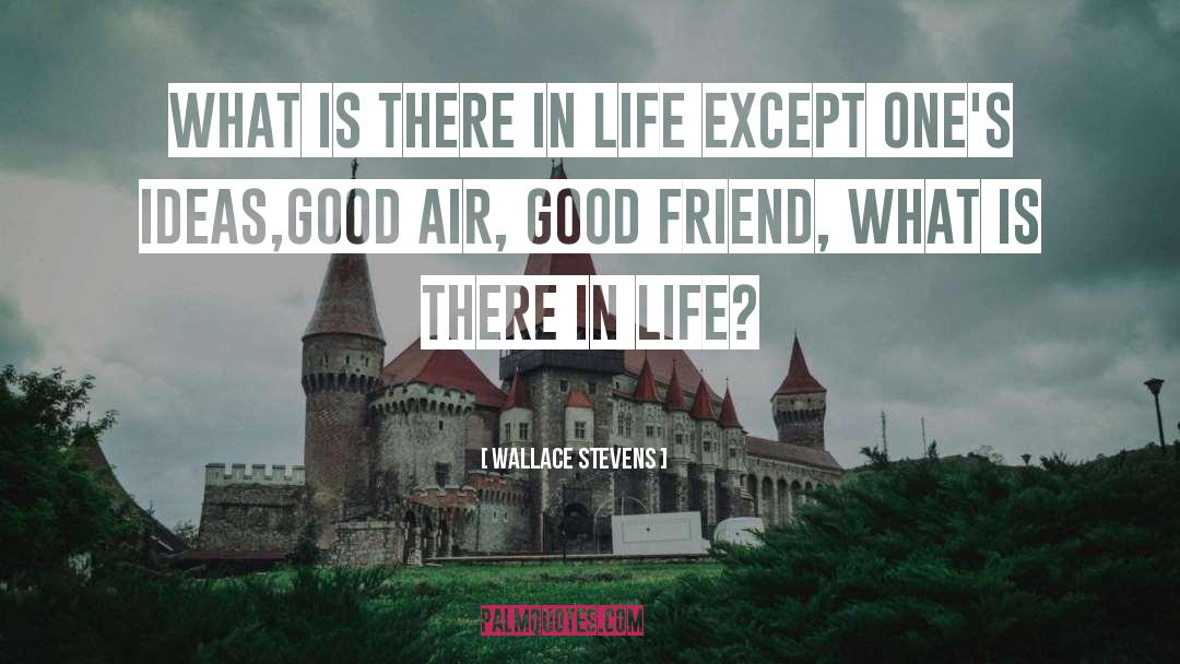 Wallace Stevens Quotes: What is there in life