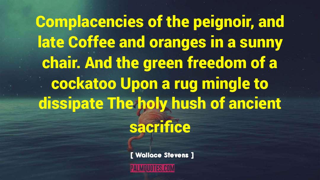 Wallace Stevens Quotes: Complacencies of the peignoir, and